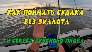 Как ловить и искать судака без эхолота