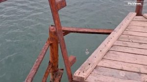 ГЕЛЕНДЖИК Архипо-Осиповка Центральный пляж сегодня 26 августа 2025.Море и погода в Геленджике сейчас