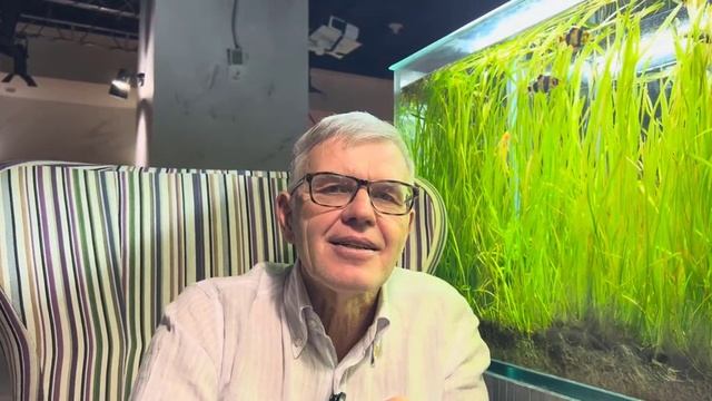 Приветственное видео РобоСтраны смотреть онлайн