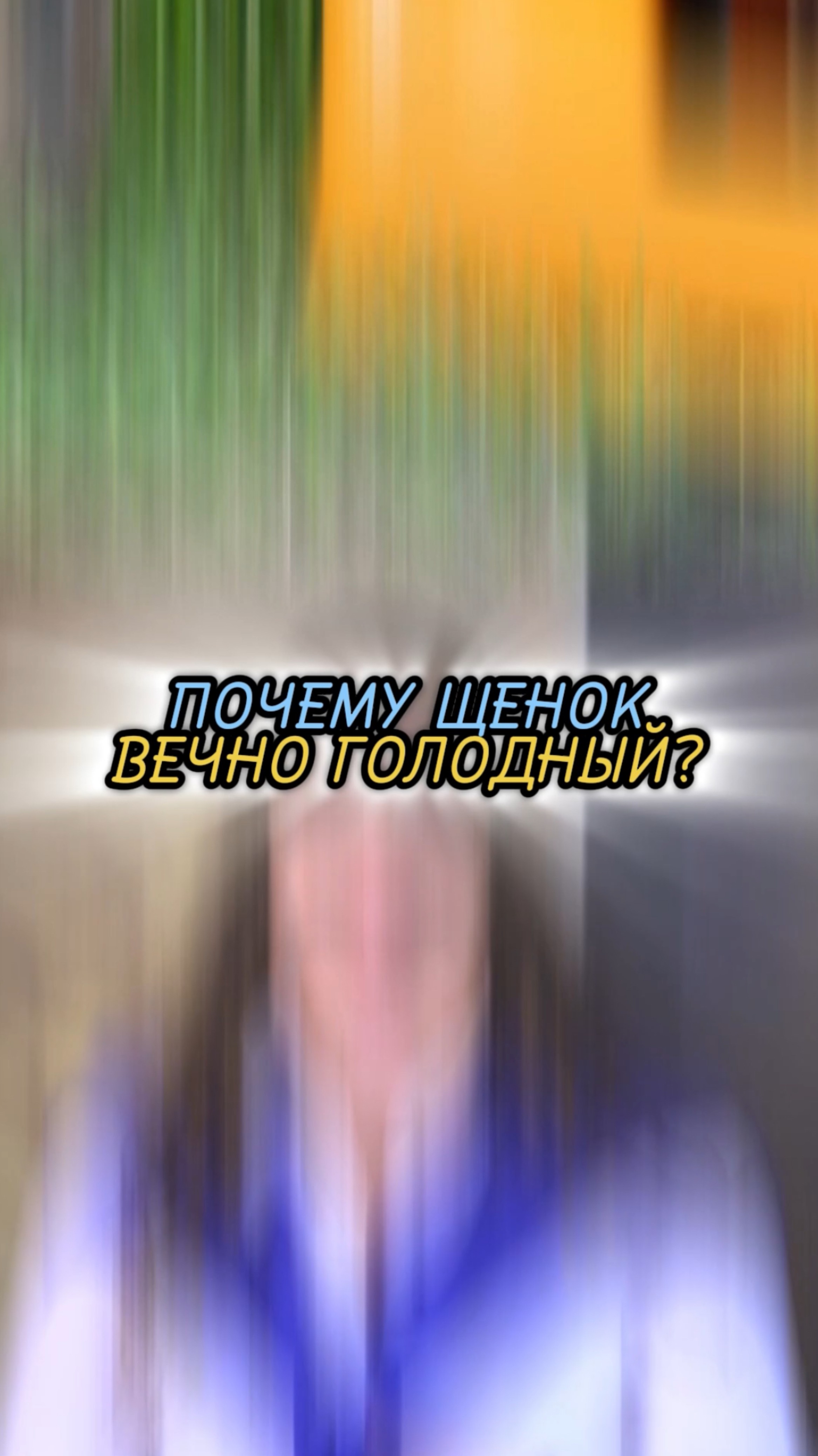 🎁Бесплатные уроки. Жми сюда! смотреть онлайн