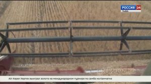 Кормозаготовка в разгаре