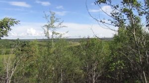 Бродилки от Бродислава  275