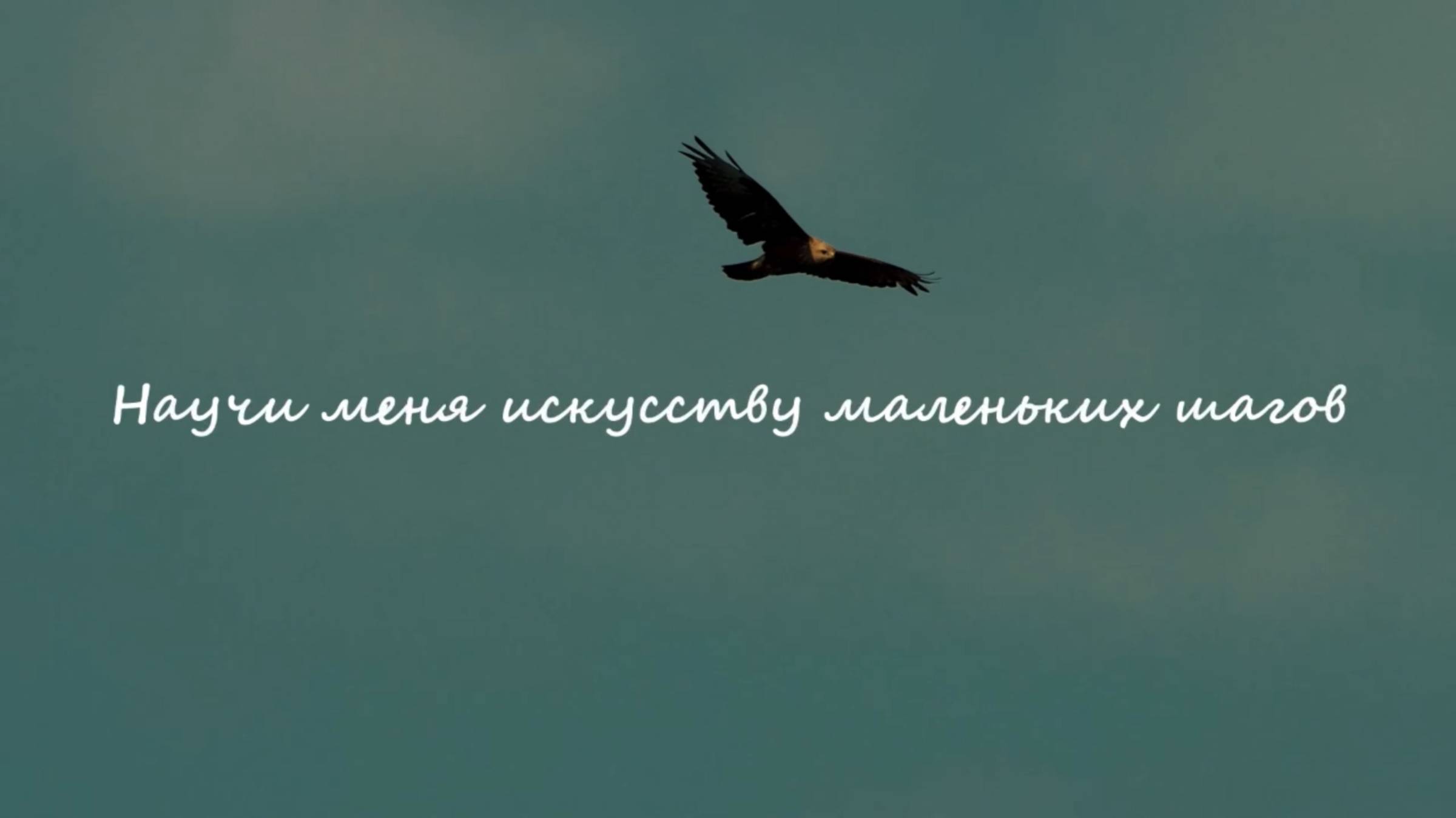 "Научи меня искусству маленьких шагов!" - Наталья Проскурина, Кристина Фарафонова смотреть онлайн