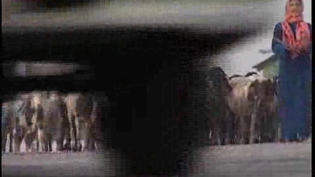 Reading Explorer - Unit 10 Giza Pyramids смотреть онлайн