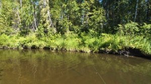 Рыбалка на хариуса 2.08.2025