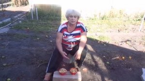 Какой сорт лука мы высаживаем под зиму? Видео снято осенью 2020 года.