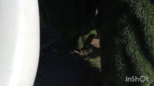 Встреча 🕺💃👯🧑🤝🧑 Воспоминания о доме где мы жили до переезда в Ейск 🏠