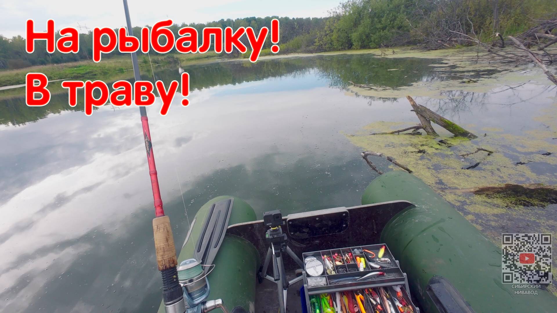 Типичная Будничная Рыбалка. Выехал на Ближайший Водоем с Ночевкой. Все заросло, но надо пробовать! смотреть онлайн