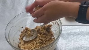 Овсяные котлеты с грибами