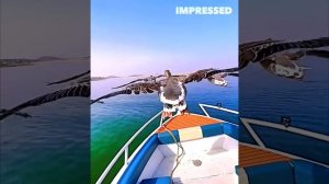 Миллионы людей не знают этого секрета😱!! Вы не поверите!