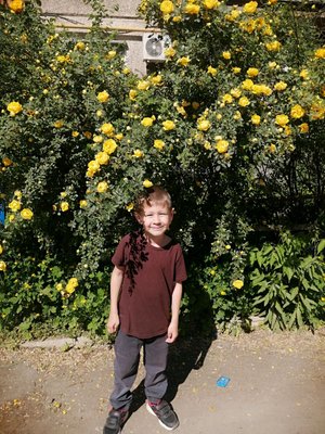 99 ночей в лесу лего.