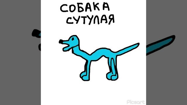 Собака сутулая