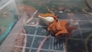 Я ДЛЯ СПИНОЗАВРИКА ПОДАРИЛ АКВАРИУМ ЧТОБЫ ЕМУ БЫЛО ПРОХЛАДНО ПОЭТОМУ