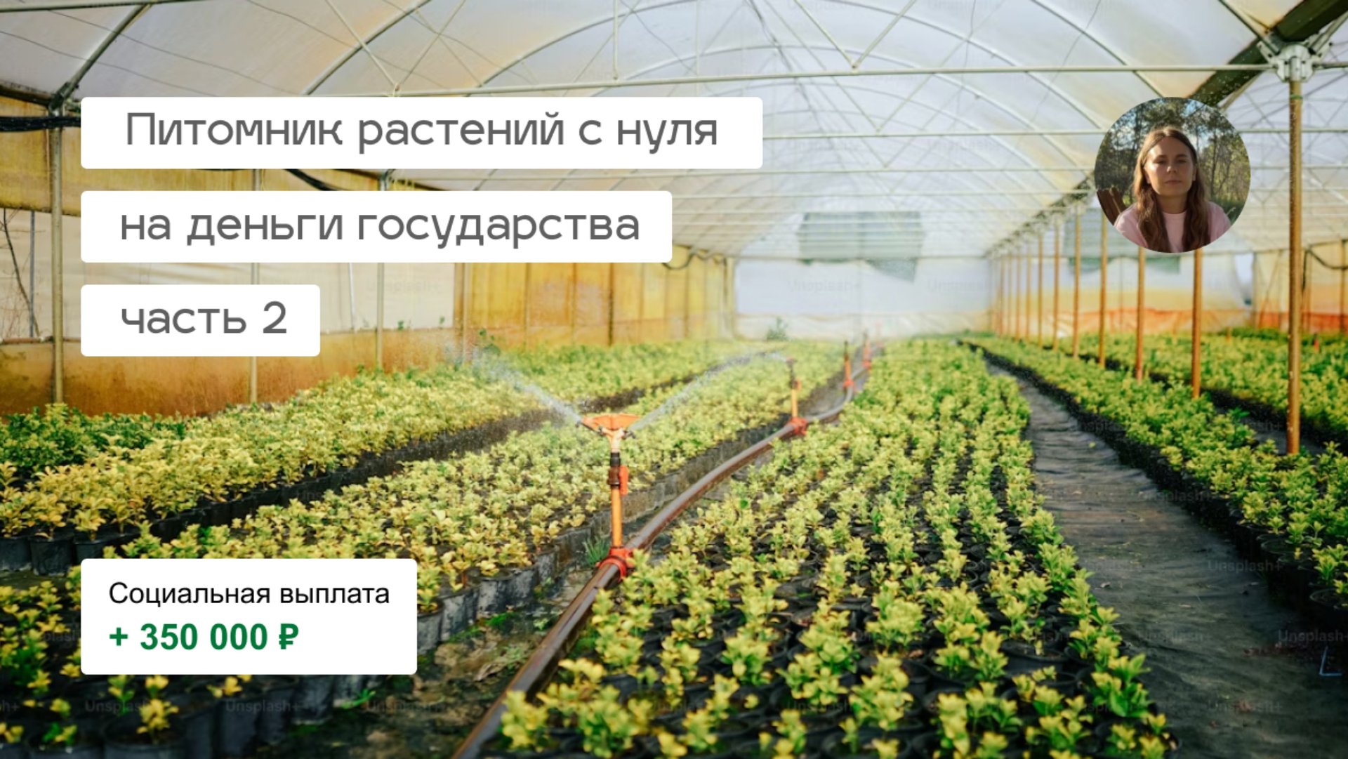 Питомник растений с нуля | моя история оформления соцконтракта | бизнес-план смотреть онлайн