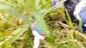 Тренировка Эмилии на Элизабет в
лесу