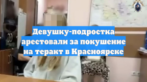 Девушку-подростка арестовали за покушение на теракт в Красноярске