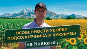 Особенности уборки подсолнечника и кукурузы на Кавказе