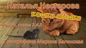 Аудиокнига Наталья Нестерова _Кошки-мышки_ Роман 3-5 части У микрофона Марина Багинская