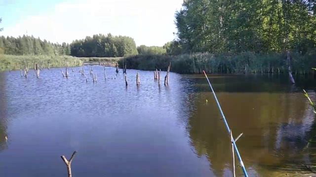 Надо сюда шашлык пожарить сходить ✌️😉 смотреть онлайн