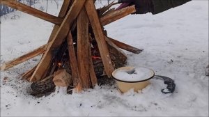 ЧИСТКА-СНЯТИЕ СУЩЕЙ И ПОДСЕЛЕНЦЕВ.