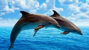 ОЧЕНЬ КРАСИВАЯ МУЗЫКА ДЛЯ РАССЛАБЛЕНИЯ ДУШИ. УСПОКАИВАЮЩИЕ МЕЛОДИИ ДЛЯ СНА