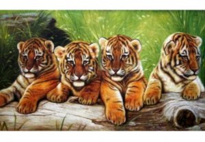 Играем в футбик