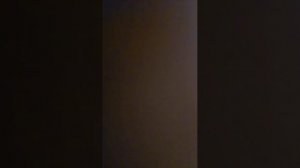 Организация 2