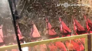 ЖАТКА ДЛЯ УБОРКИ ПОДСОЛНЕЧНИКА РЯДКОВАЯ НАШ- 873