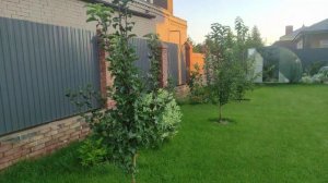 Наш сад, вот и лето прошло...