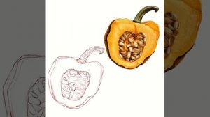 Осеннее настроение. Кофе со вкусом тыквы и какао. procreate.