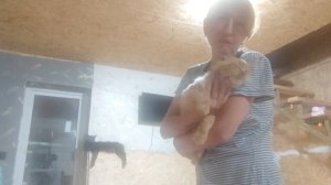 Завтра нам не чего кушать😭