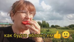 /срезка мятного ассорти/будни/август 2025