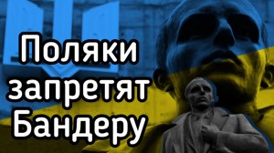 Польша намерена запретить Бандеру и отключить старлинки
