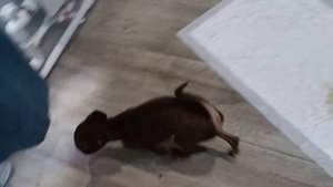 пробежка по утрам