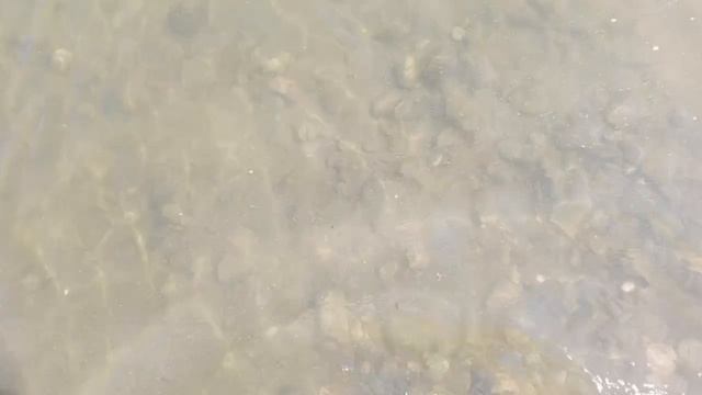 Попался Подлещик на волге! Рыбалка в Астрахани