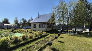 9565479  СПК Победит-1