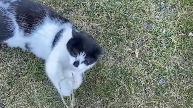 а ну ка давай-ка урок ботаники