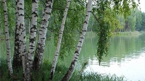 БОЖЕСТВЕННАЯ КРАСОТА РУССКИХ АКТРИС/РОССИЯ/РУСЬ/ПРИРОДА.