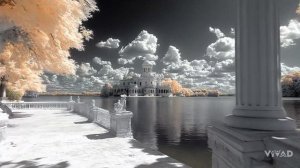 Scarlet Fantasy Surrealism and Baroque in One Frame - AI Short Film