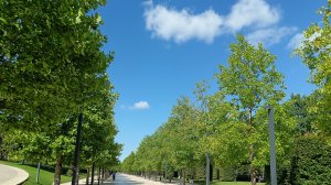 🌞НАША МАЛЕНЬКАЯ ПРОГУЛКА 💚КРАСОТА ВОКРУГ 💚НЕ СУДИТЕ СТРОГО😊💚