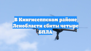 В Кингисеппском районе Ленобласти сбиты четыре БПЛА