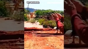 Один из миллиарда моментов в природе!