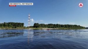 Кубок Покачей по рыбной ловле