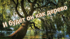 И будет он как дерево при потоках