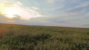 Воркута. 25.08.25. Песчанка и сбор урожая!!!!