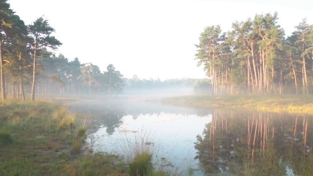 Успение Пресвятой Богородицы 28 августа 2025. Не делайте это.