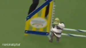 Шрек бежит Hotline Miami