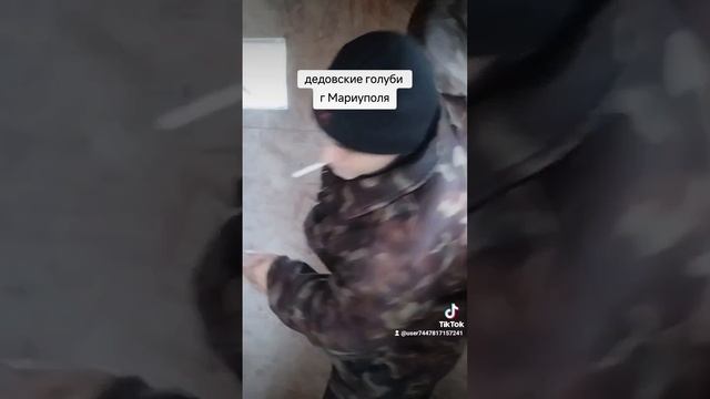 г. Мариупольские #красные дедовские голуби ещё сохранены# смотреть онлайн
