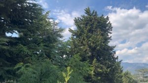 Крым. Пансионат Чайная горка