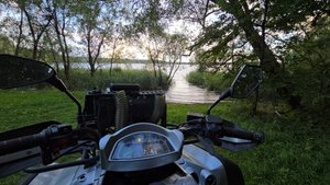 Жемчужина в теме